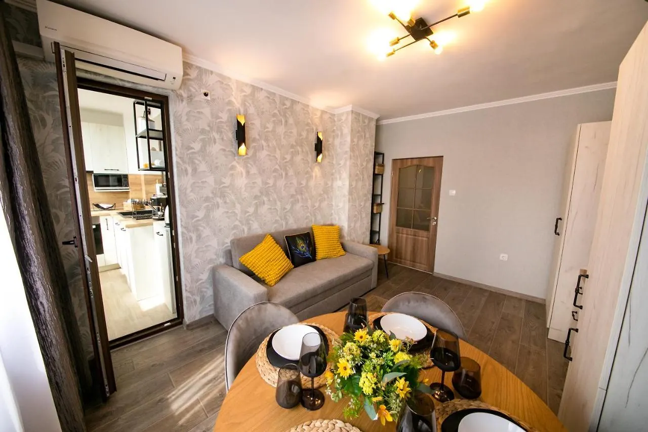 Cathedral Apartment וארנה 0*,